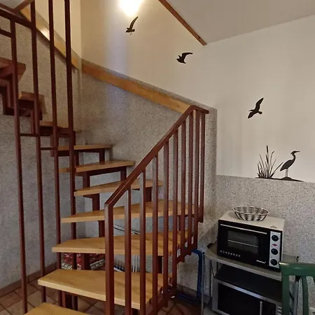 Appartement Strandperle Buchenhof 5 D