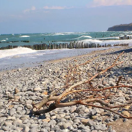 Strandperle Buchenhof 5 D * Wustrow (Fischland)